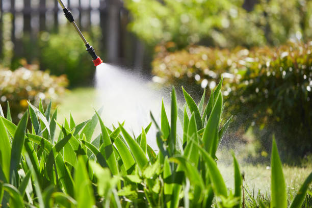 Tamper-Resistant Bait Stations for Rodents in Chinook