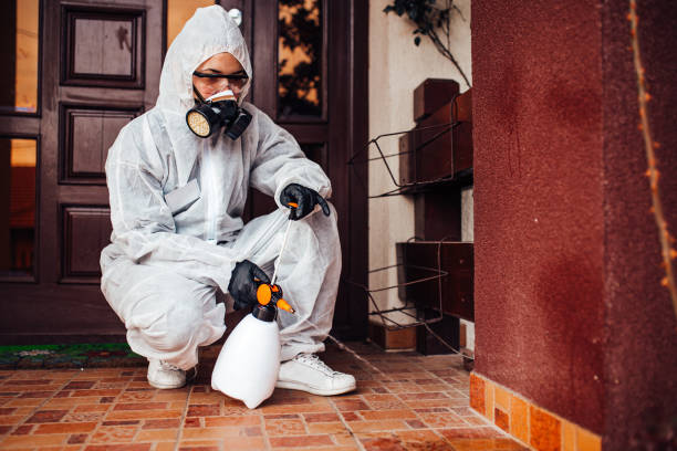 Attic and Crawl Space Rodent Treatment in Chinook